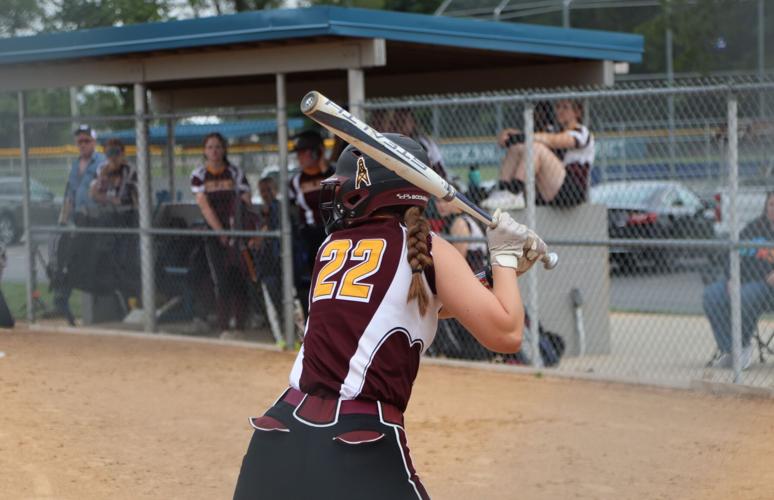 PHOTOS Roxana 10, East Alton Wood River 5 in softball regional at