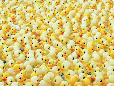 Riverbend Growth Association Moves Duck Race To Gordon Moore Park News Advantagenews Com