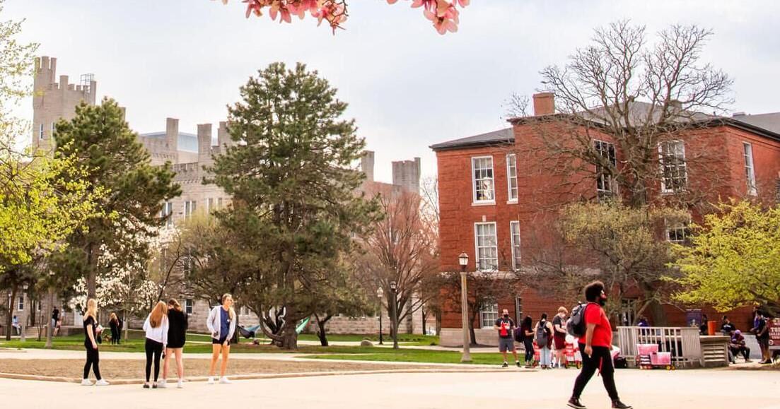 Illinois universities report modest enrollment shifts