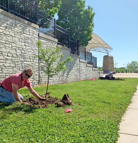 Fall tree planting effort goes well in Alton | Local News ...