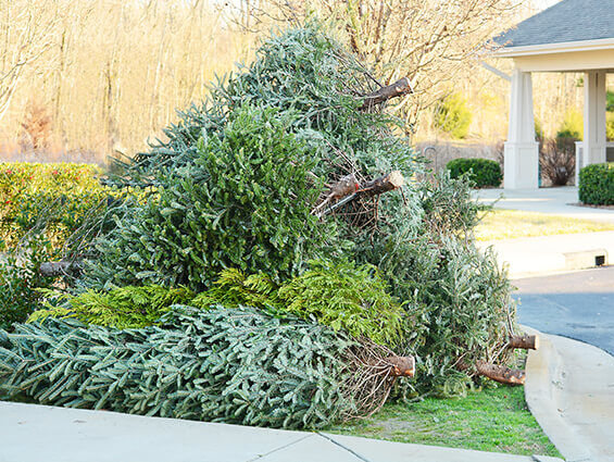 Madison County Offers Help With Holiday Recycling News Advantagenews Com