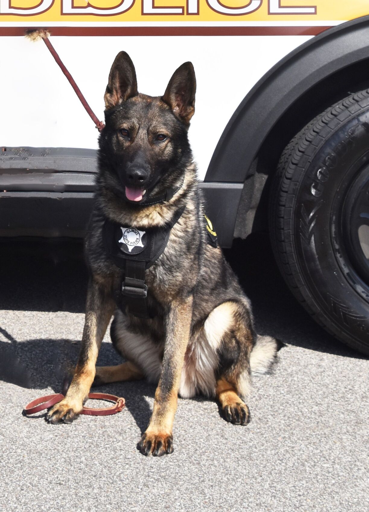 Police dog Ares passes away | Local News | advantagenews.com