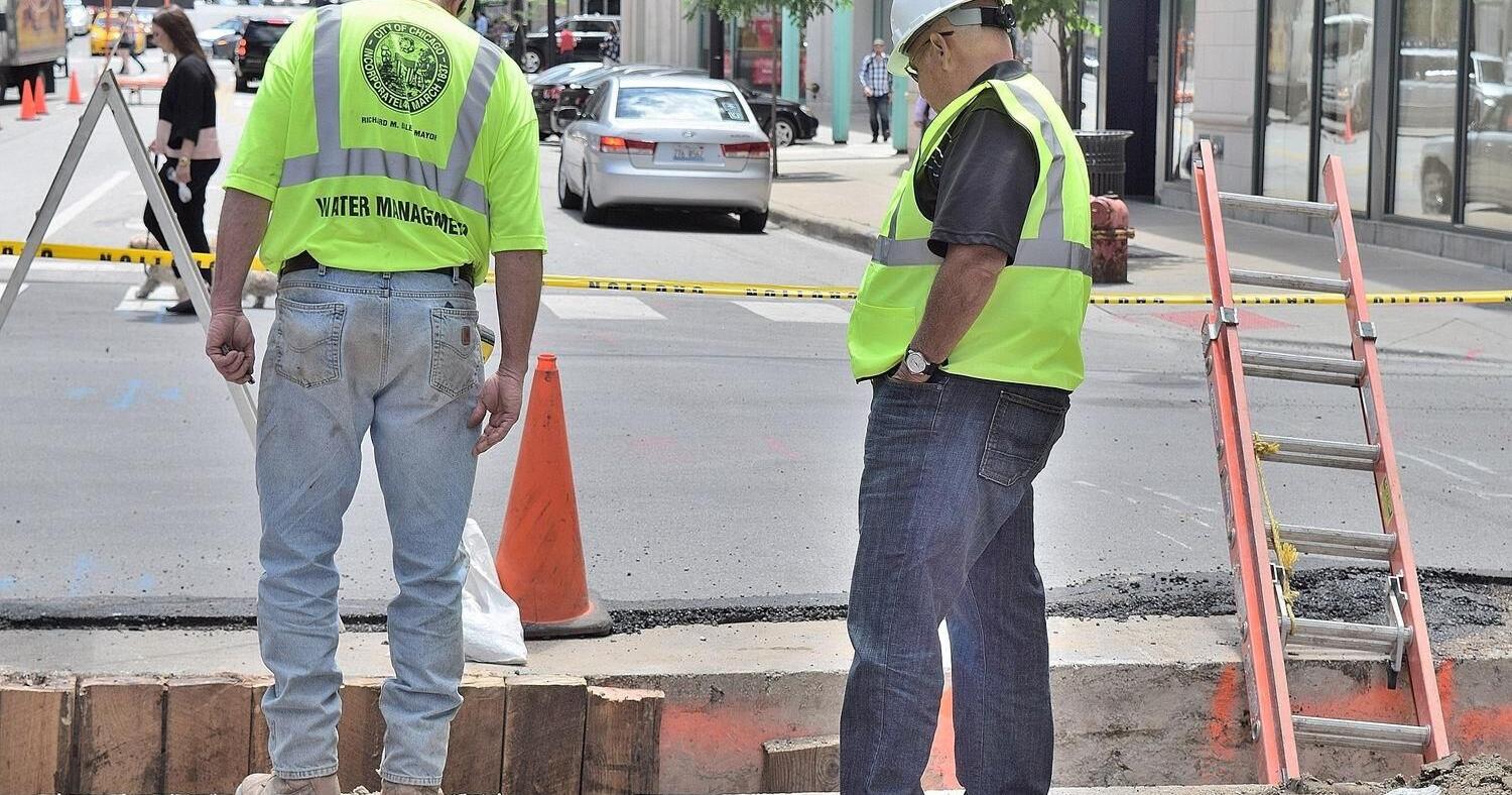 Local projects in Rebuild Illinois - Vimarsana News