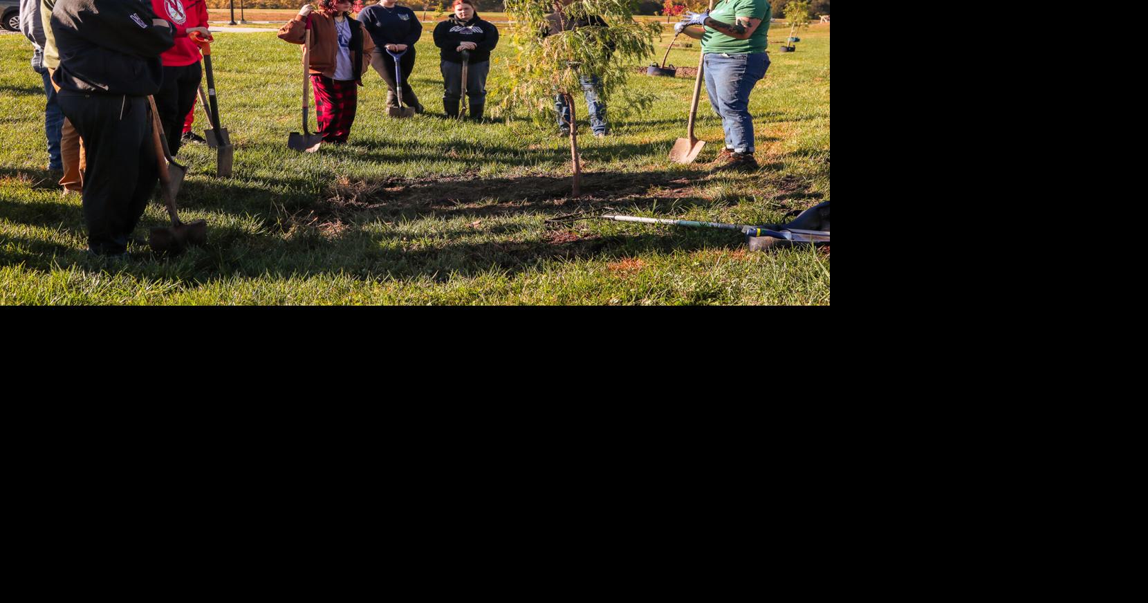 Godfrey's tree population grows | Local News | advantagenews.com