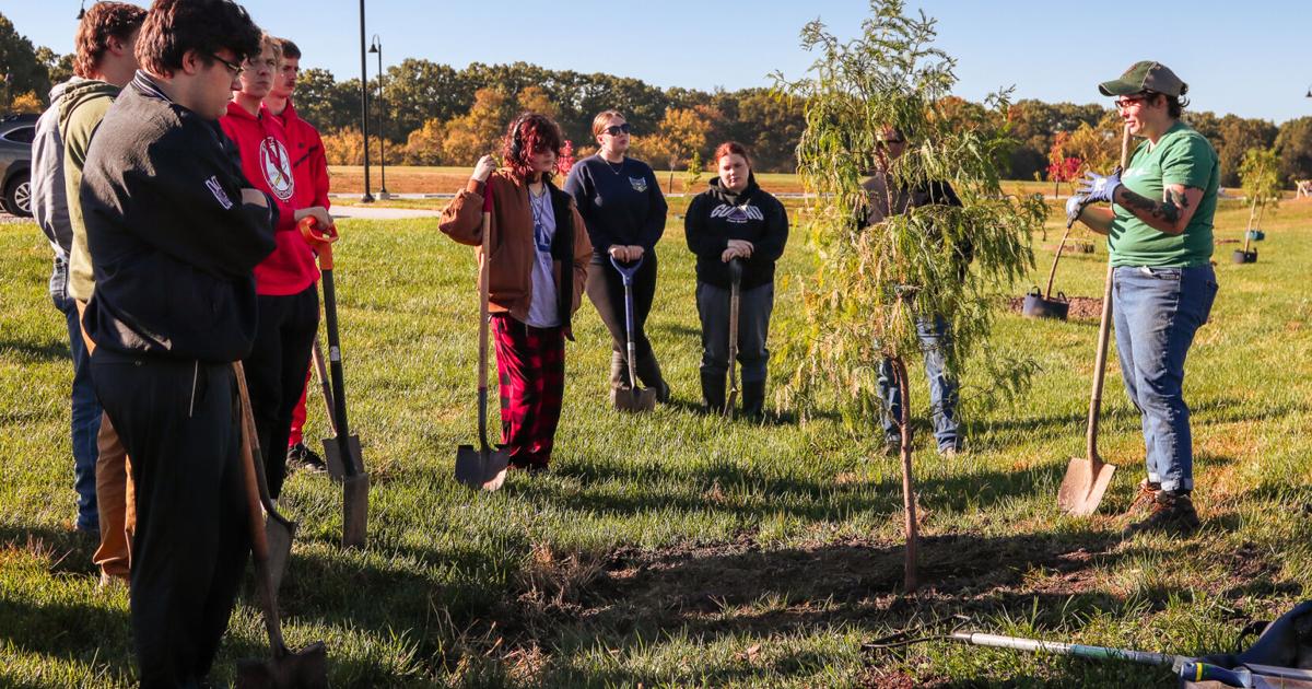 Godfrey Tree Godfrey's tree population grows | Local News | advantagenews.com