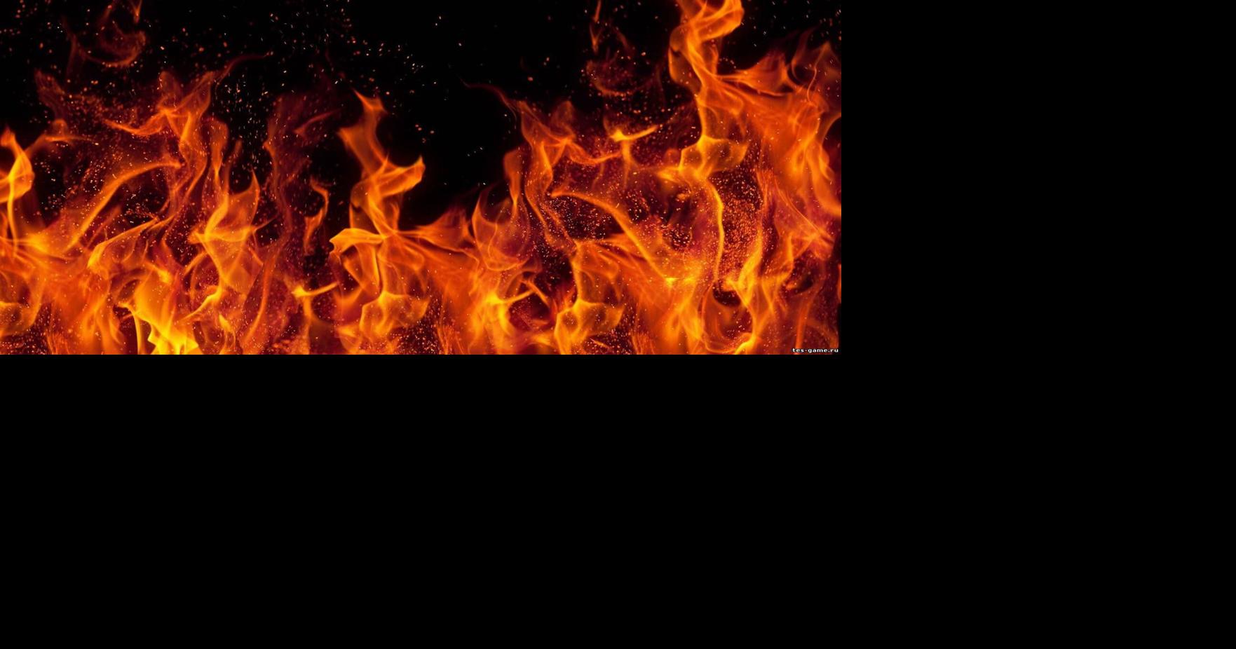 Guilty plea in federal arson case