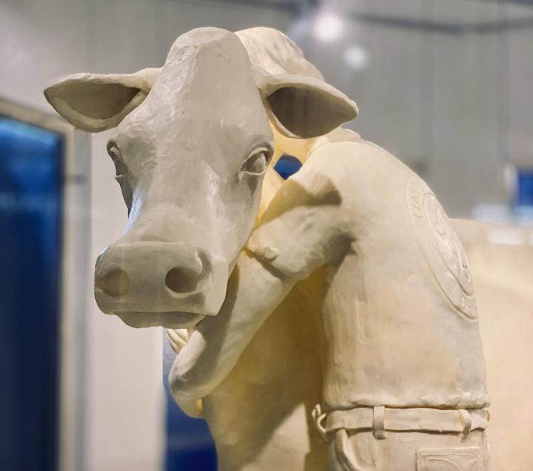 Illinois State Fair butter cow unveiled Local News