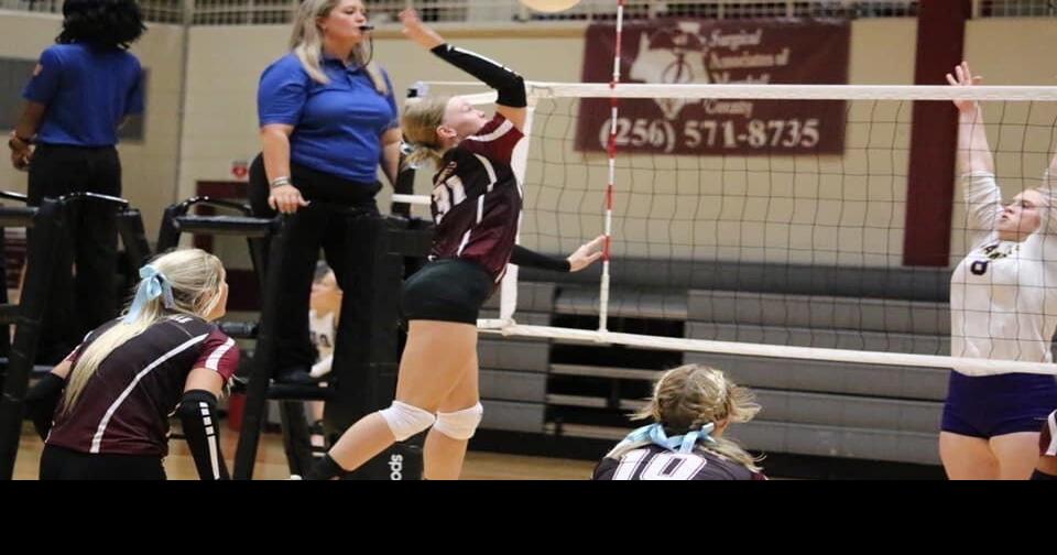 AdvertiserGleam.com - Volleyball - 'Cats ranked #8, start out 5-2 image