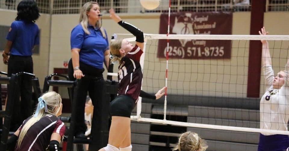 AdvertiserGleam.com - Volleyball - 'Cats ranked #8, start out 5-2 image