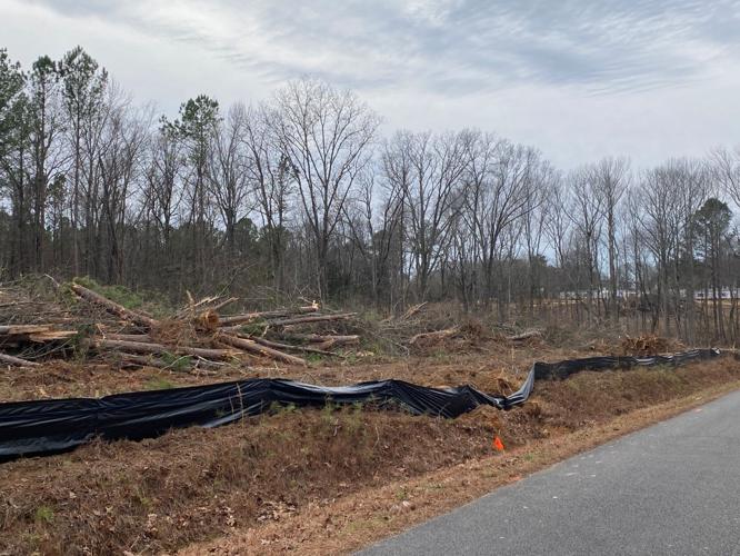 Grant Mobile home park causes lots of grief News