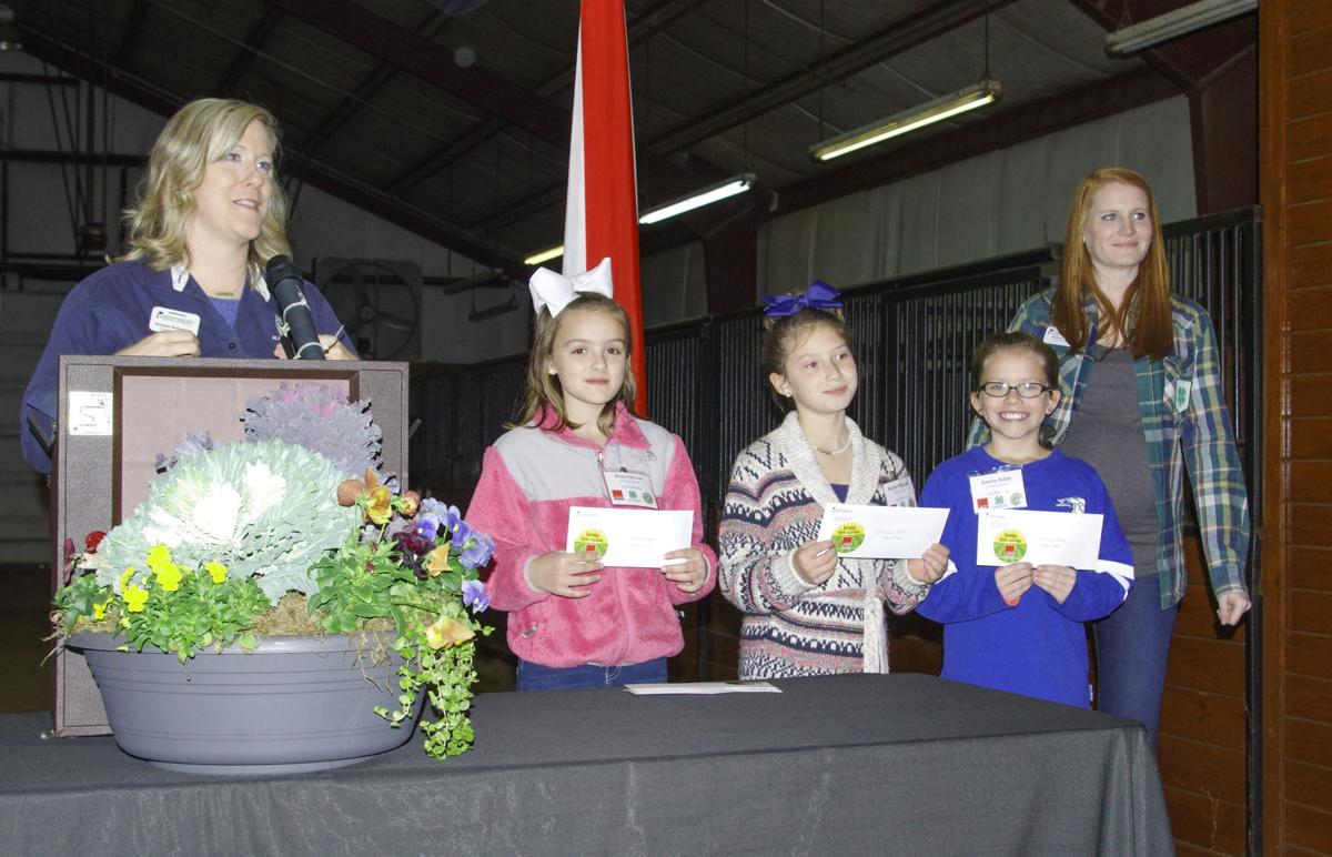 Essay farm city picture