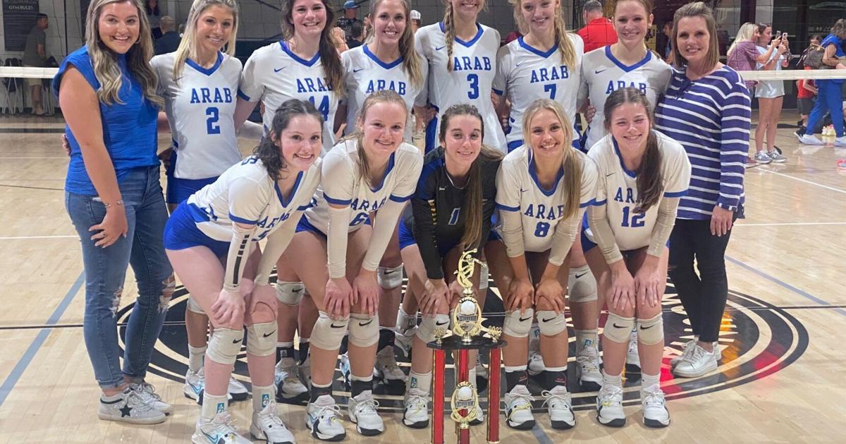 AdvertiserGleam.com - Arab too strong for the Wildcats image