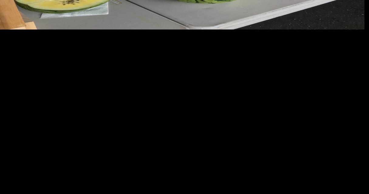 He Checks Watermelons With A Straw News