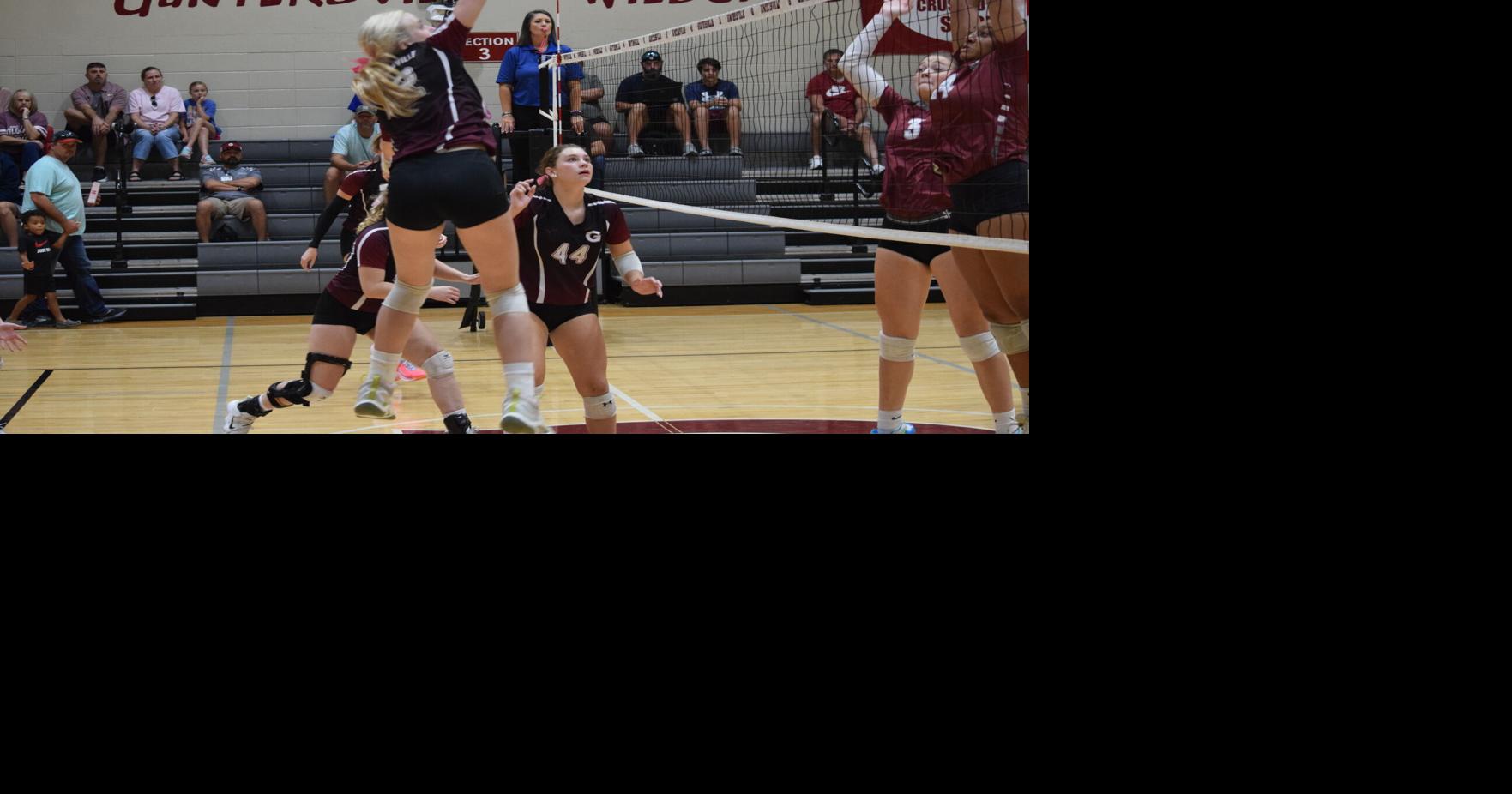 AdvertiserGleam.com - Volleyball - G'ville goes 1-1 on Sr. Night image