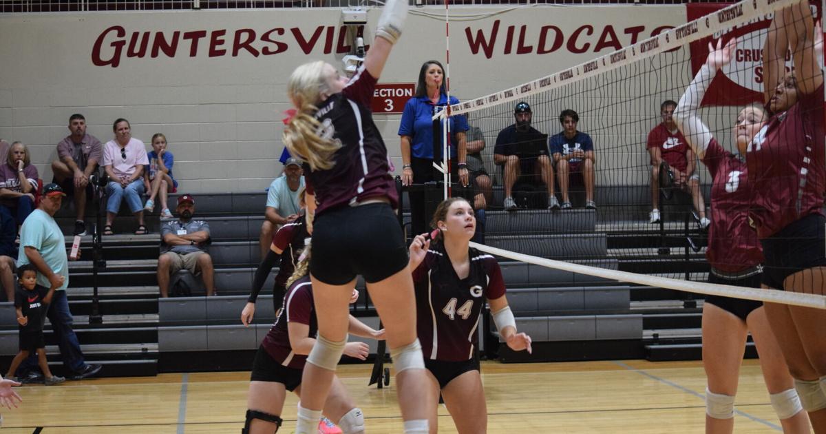 AdvertiserGleam.com - Volleyball - G'ville goes 1-1 on Sr. Night image