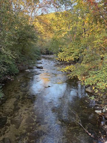 The Editor’s Pen – Healing in the  Virginia mountains