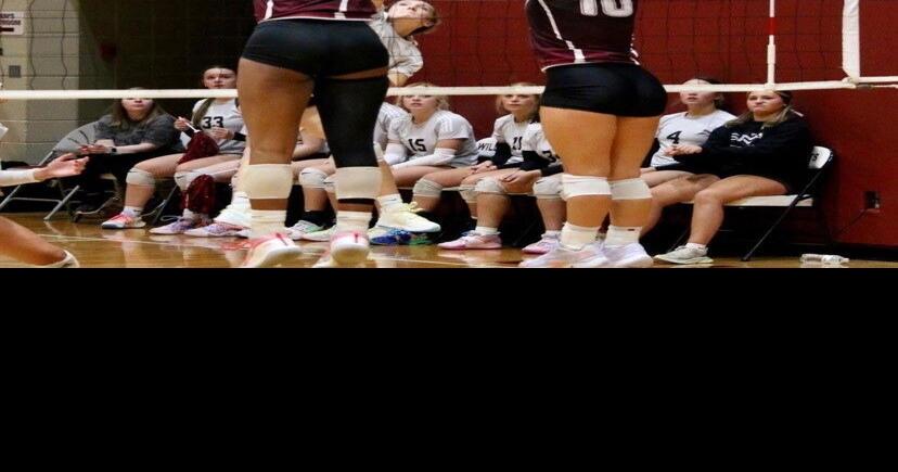 AdvertiserGleam.com - Milestones for two  volleyball 'Cats image