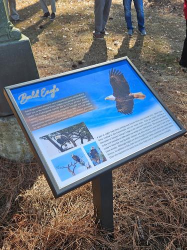 Us Sign Bird New bird signs in the city park | News | advertisergleam.com