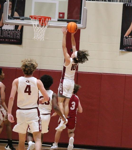 AdvertiserGleam.com - 'Cats dominate in sub-region image