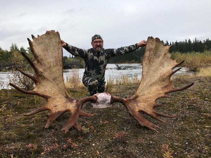 giant moose teddy