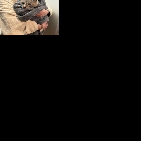 A tale of Trouble homeward-bound