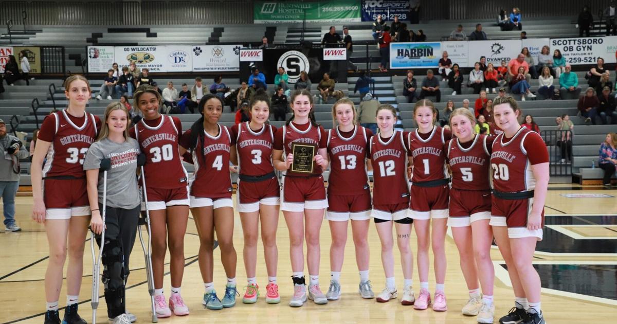 AdvertiserGleam.com - Two big wins for the Lady Wildcats image
