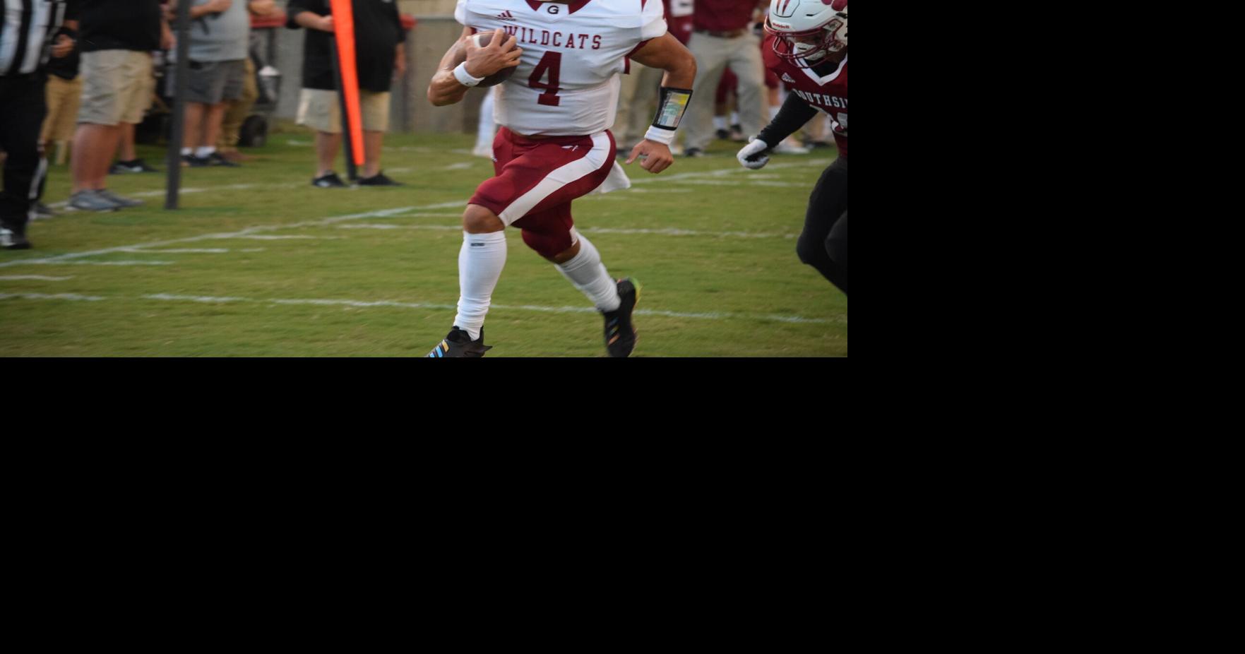 AdvertiserGleam.com - 'Cats win on road to open season image
