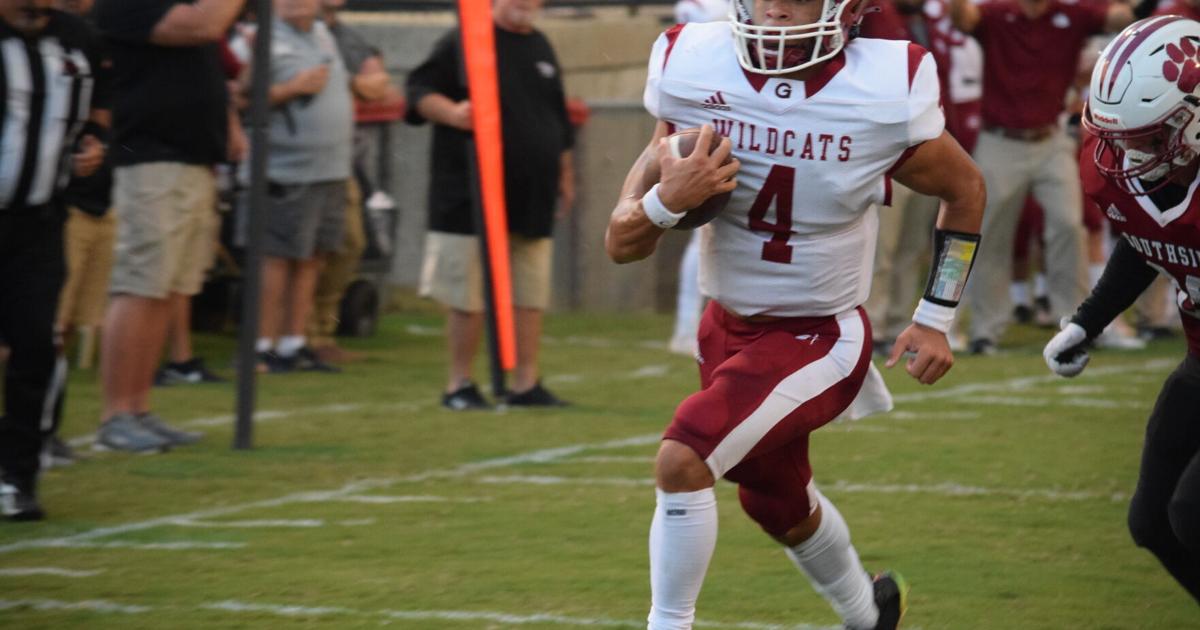 AdvertiserGleam.com - 'Cats win on road to open season image