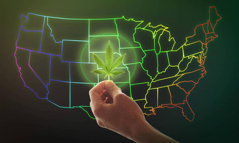 A female hand holds a cannabis leaf on a background of the USA map. Marijuana legalization concept.