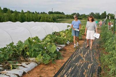 Open Houses Offer Insight Into Organic Farming Features
