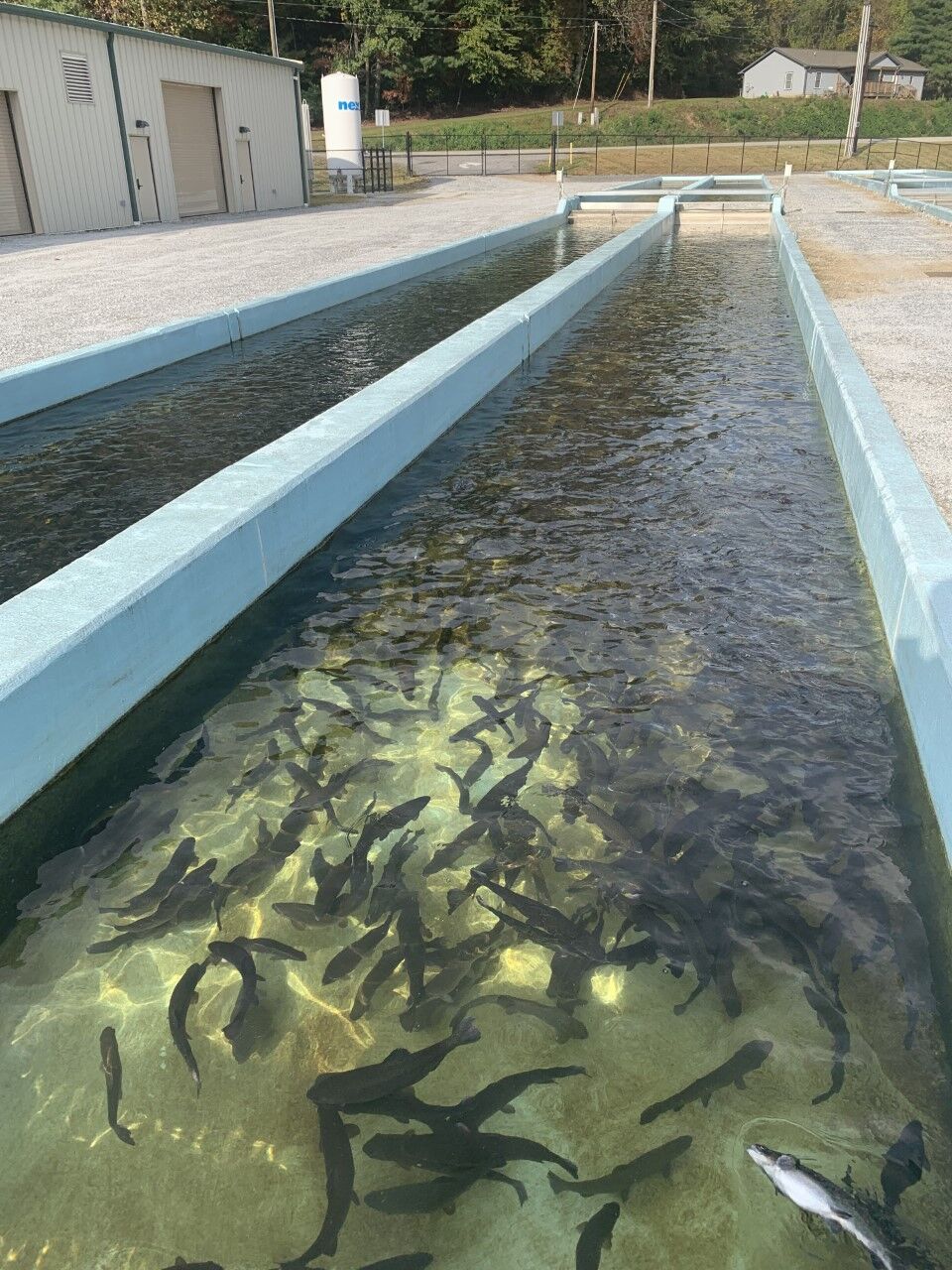 State DNR reopens renovated fish hatchery News albanyherald