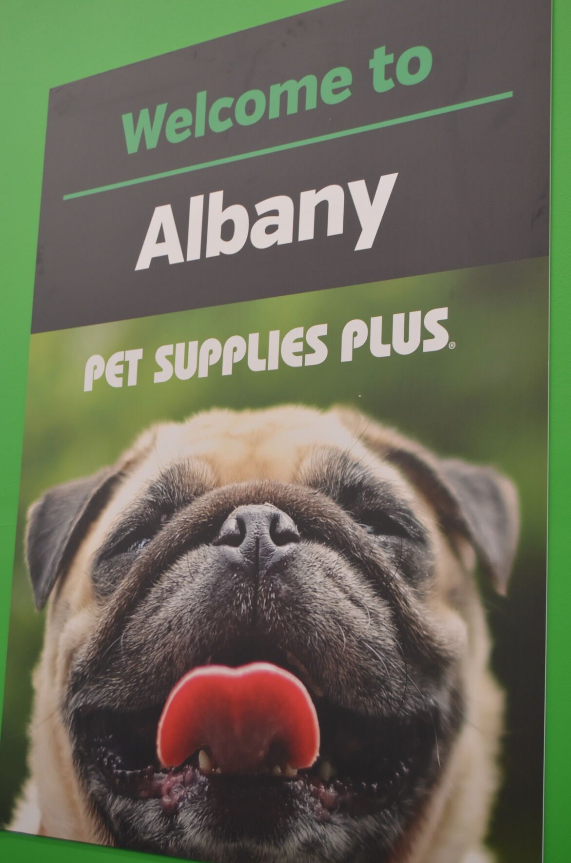 PHOTOS Pet Supplies Plus has everything to pamper your pet News