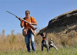 What hunters should know about the 2023 pheasant and quail hunts - The  Times-Independent