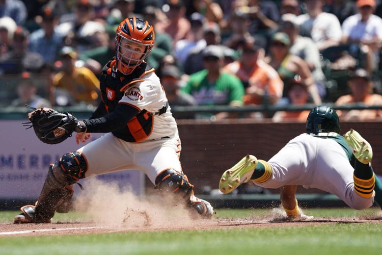 Leesburg native Buster Posey named National League All-Star