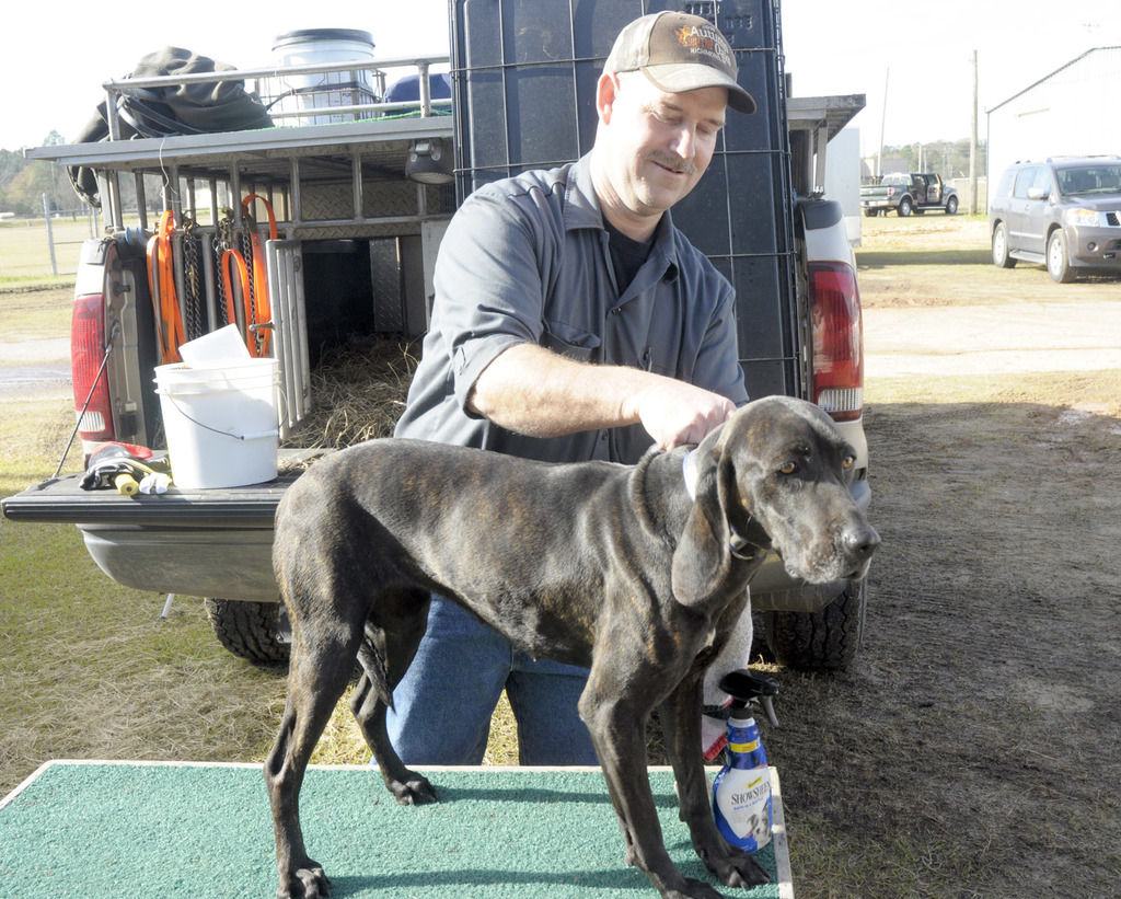 Coon hunters participate in Albany AKC dog show | Features | albanyherald.com