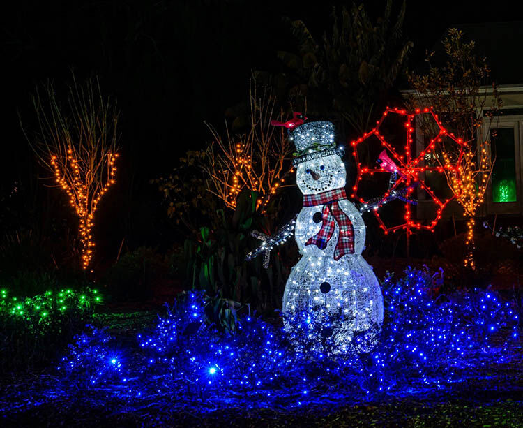 Coastal Botanical Gardens set to kick off Holiday Lights | Albany