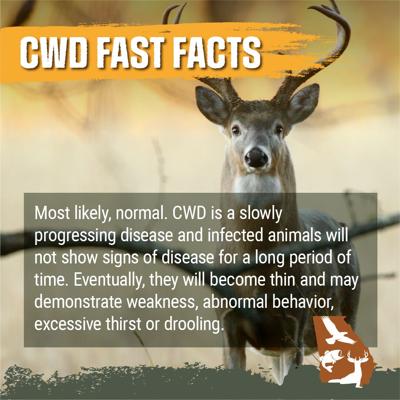 cwd 2.png