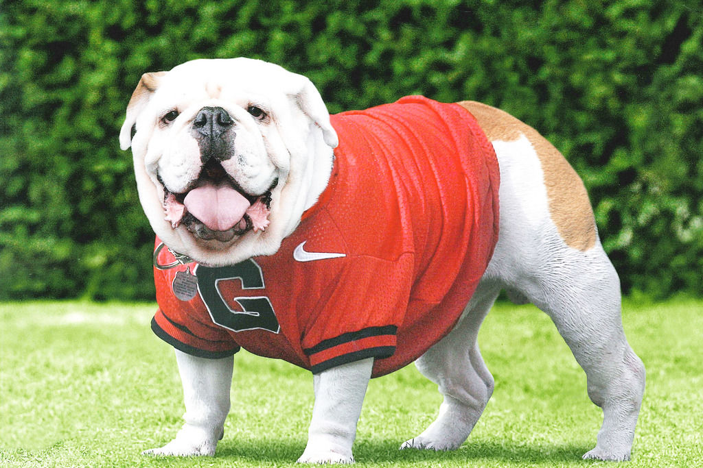  Pets First NCAA Georgia Bulldogs Dog T-Shirt, Large