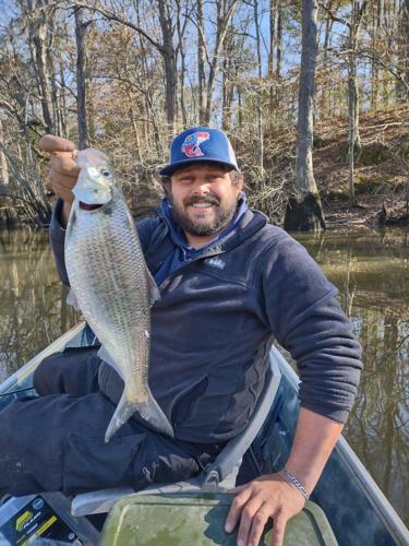 Georgia angler hauls in state record hickory shad
