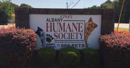 Humane society in albany ga how nanomedicine will change the cost of healthcare