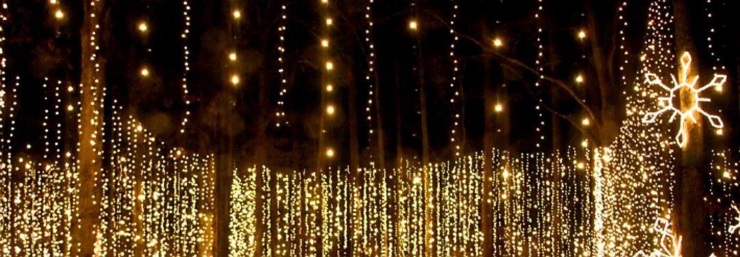 Callaway Gardens Offers Dazzling Light Display This Holiday Season