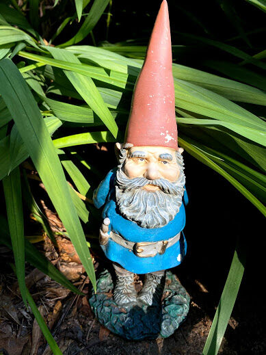 Albanyherald Com, Alabama Garden Gnome