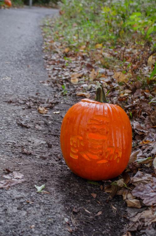Pumpkin glow walk photos 5