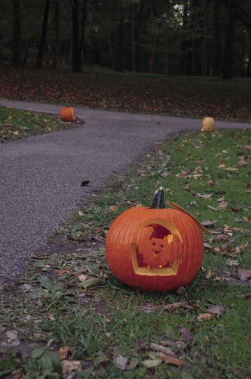 Pumpkin glow walk photos 3