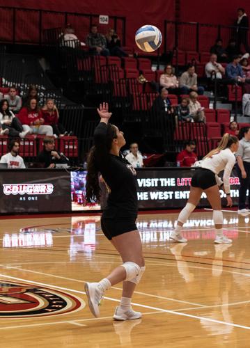 Volleyball team topples USI, goes on to championship