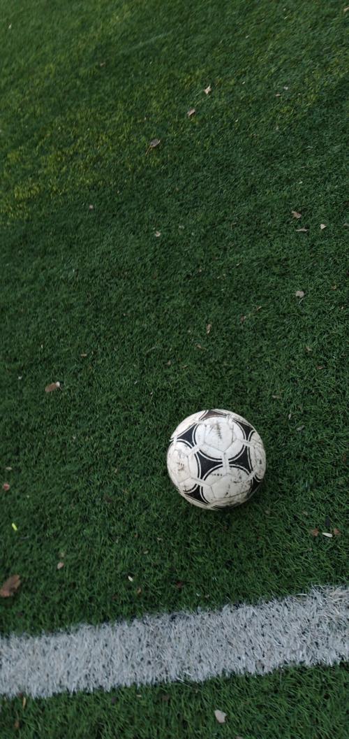 BRIEF: Women’s soccer defeats Carbondale 5-0