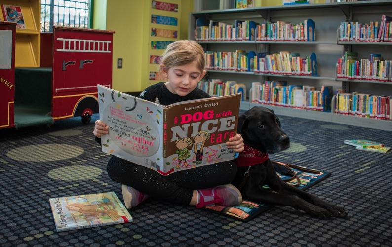 Kids practice reading judgment-free with therapy dogs