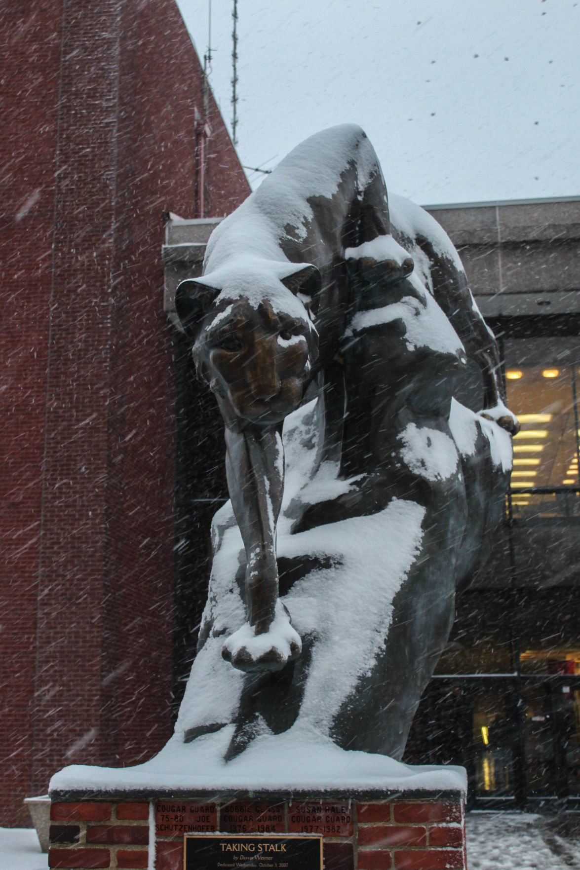 Student reactions to the first snow of the season
