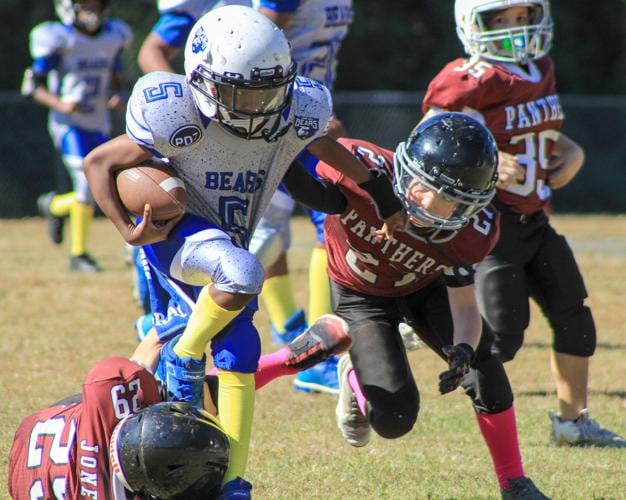 10U camp hill bears