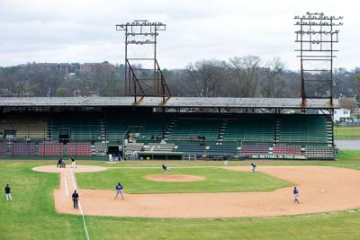 field rickwood alexcityoutlook